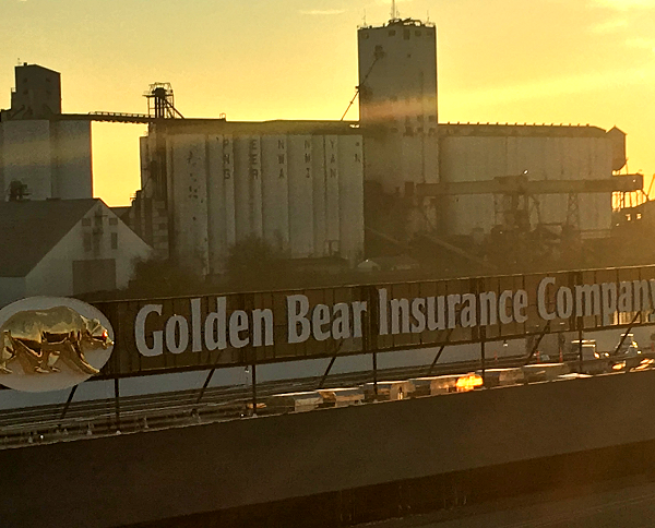 golden-bear-sign-at-night